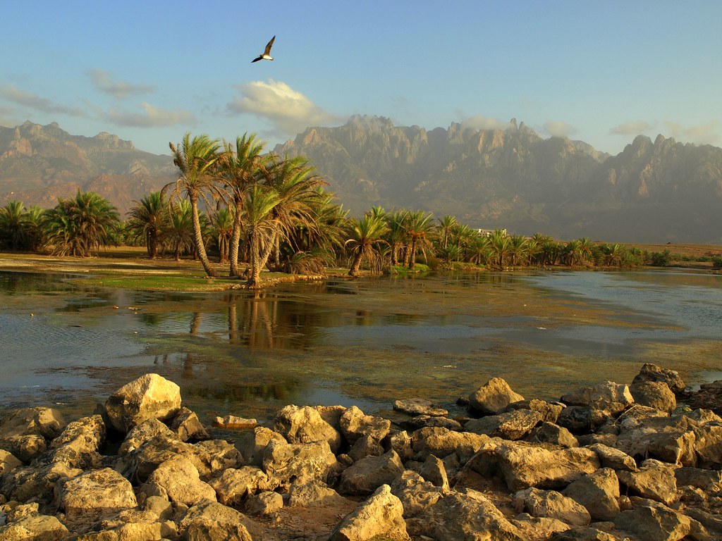 socotra tourism