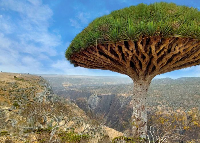 1-DRAMATIC-SCENERY-Socotra-Trip-Socotra-Islands-scaled-1